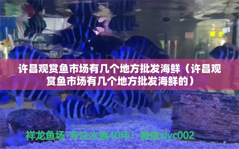 許昌觀賞魚市場有幾個地方批發(fā)海鮮（許昌觀賞魚市場有幾個地方批發(fā)海鮮的）