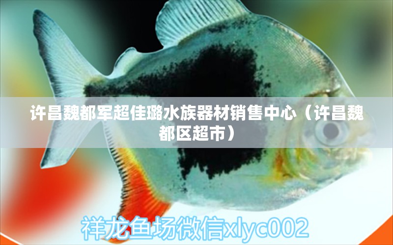 許昌魏都軍超佳璐水族器材銷售中心（許昌魏都區(qū)超市） 全國水族館企業(yè)名錄