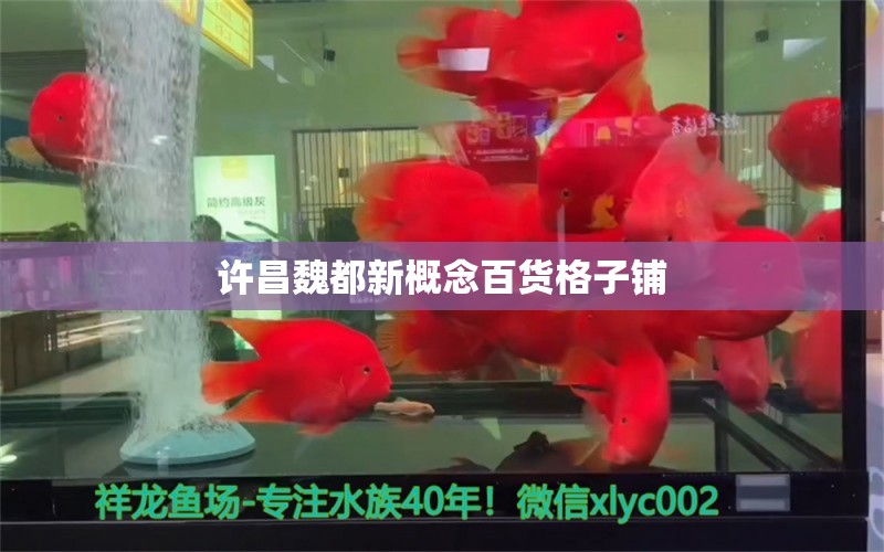 許昌魏都新概念百貨格子鋪 全國水族館企業(yè)名錄