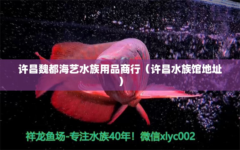 許昌魏都海藝水族用品商行（許昌水族館地址） 水族用品