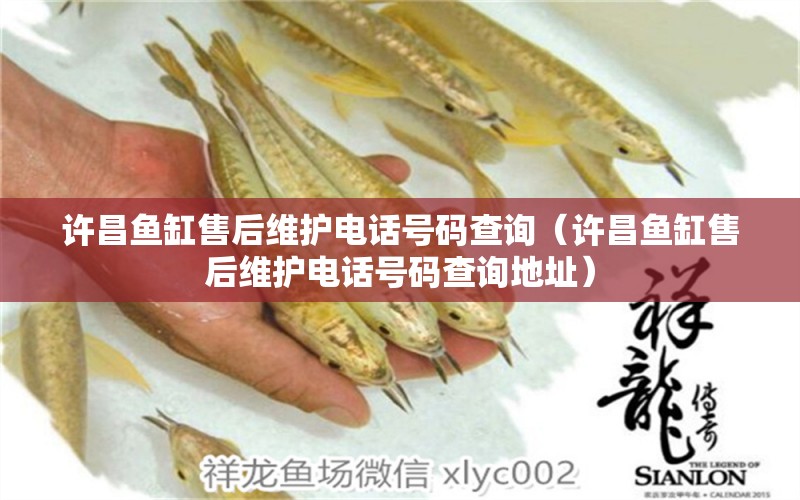 許昌魚缸售后維護(hù)電話號(hào)碼查詢（許昌魚缸售后維護(hù)電話號(hào)碼查詢地址） 其他品牌魚缸