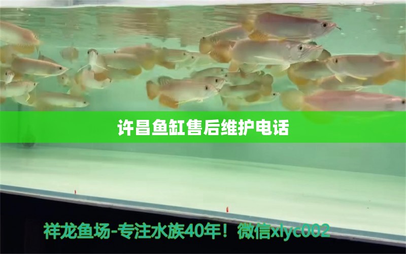 許昌魚缸售后維護電話 其他品牌魚缸