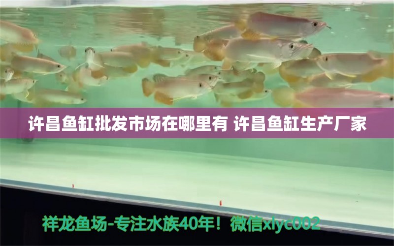 許昌魚(yú)缸批發(fā)市場(chǎng)在哪里有 許昌魚(yú)缸生產(chǎn)廠家