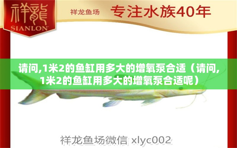 請問,1米2的魚缸用多大的增氧泵合適（請問,1米2的魚缸用多大的增氧泵合適呢） 其他品牌魚缸 第1張