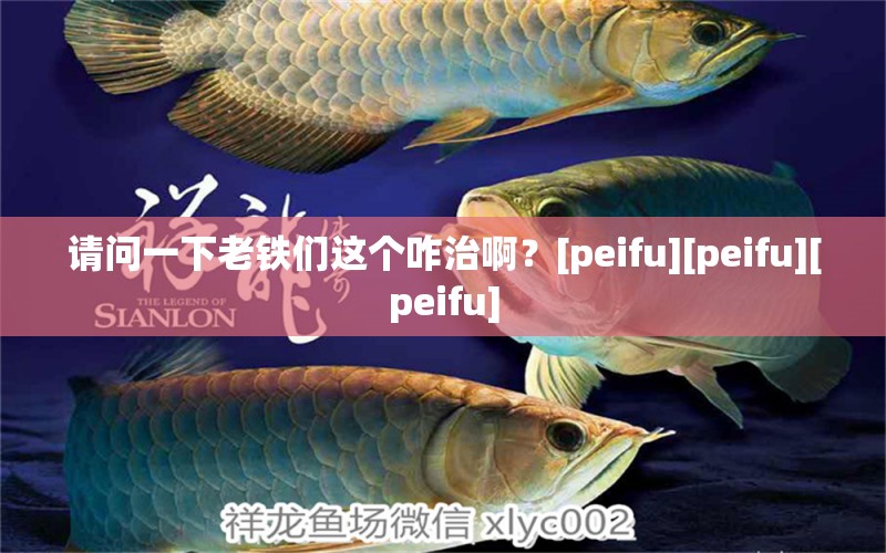 請問一下老鐵們這個咋治??？[peifu][peifu][peifu] 觀賞魚論壇 第2張