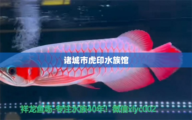 諸城市虎印水族館 全國水族館企業(yè)名錄