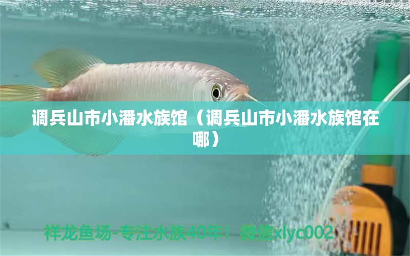 調(diào)兵山市小潘水族館（調(diào)兵山市小潘水族館在哪） 全國水族館企業(yè)名錄