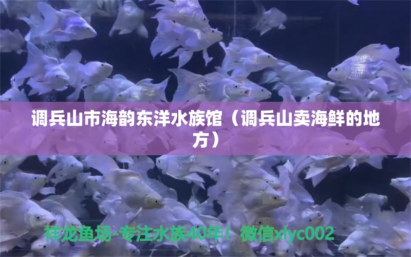 調(diào)兵山市海韻東洋水族館（調(diào)兵山賣海鮮的地方）