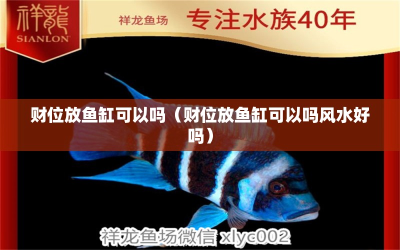 財(cái)位放魚(yú)缸可以嗎（財(cái)位放魚(yú)缸可以嗎風(fēng)水好嗎）