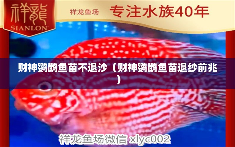 財(cái)神鸚鵡魚(yú)苗不退沙（財(cái)神鸚鵡魚(yú)苗退紗前兆） 鸚鵡魚(yú)