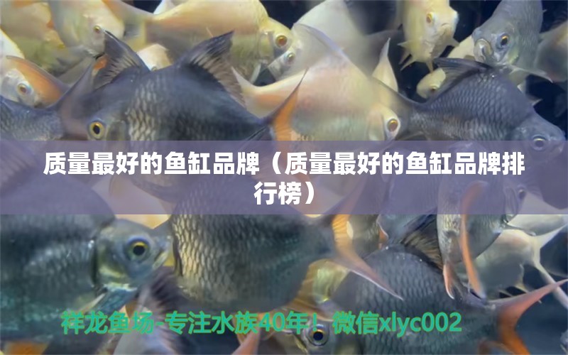 質(zhì)量最好的魚缸品牌（質(zhì)量最好的魚缸品牌排行榜）