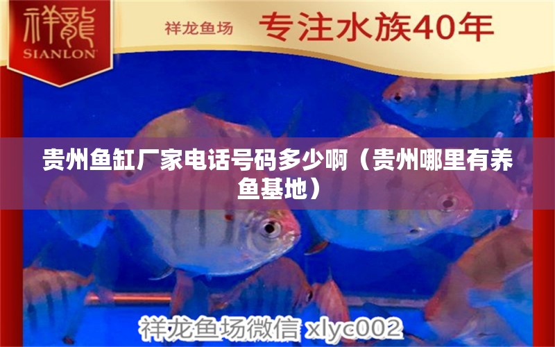 貴州魚缸廠家電話號碼多少?。ㄙF州哪里有養(yǎng)魚基地）