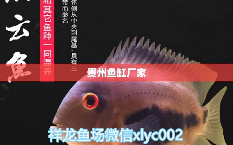 貴州魚缸廠家