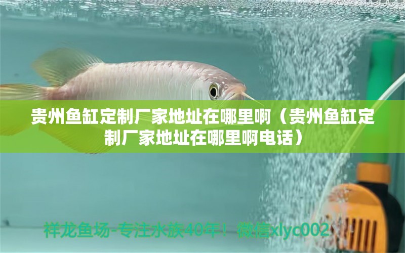 貴州魚缸定制廠家地址在哪里?。ㄙF州魚缸定制廠家地址在哪里啊電話）