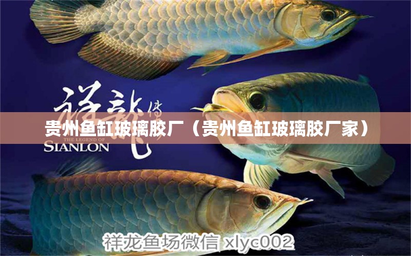 貴州魚缸玻璃膠廠（貴州魚缸玻璃膠廠家） 其他品牌魚缸