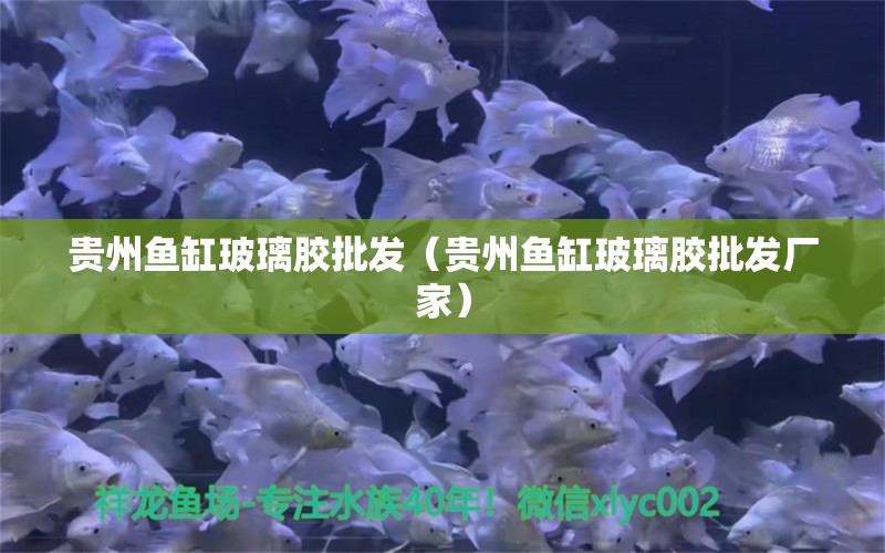 貴州魚缸玻璃膠批發(fā)（貴州魚缸玻璃膠批發(fā)廠家） 其他品牌魚缸