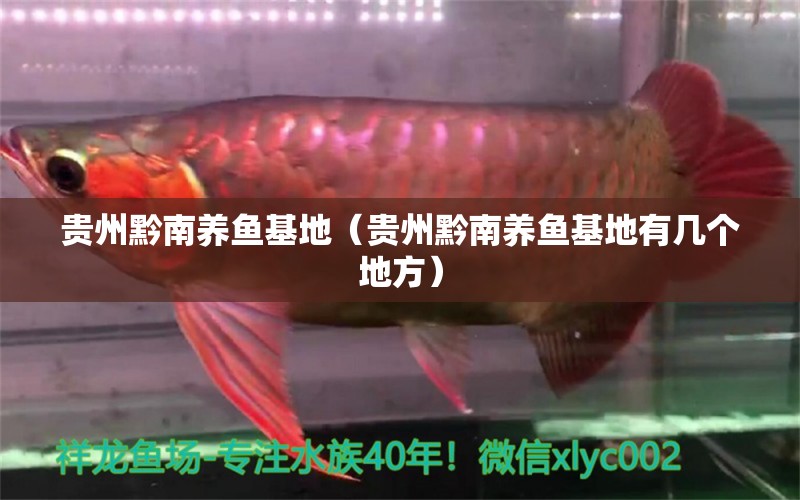 貴州黔南養(yǎng)魚基地（貴州黔南養(yǎng)魚基地有幾個(gè)地方）