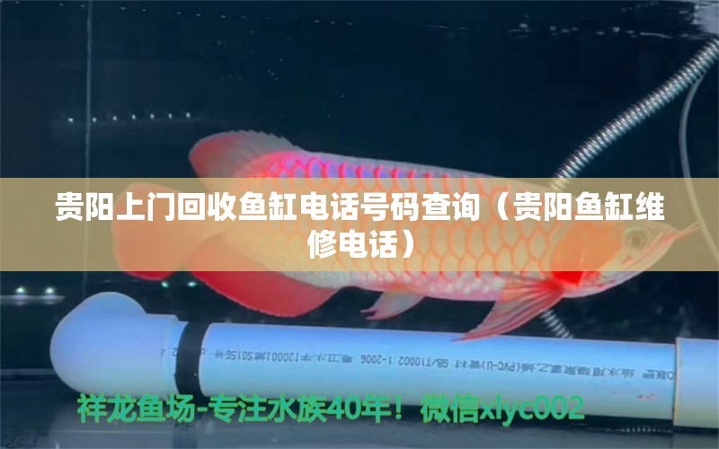 貴陽上門回收魚缸電話號碼查詢（貴陽魚缸維修電話）