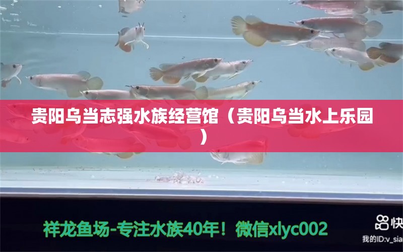 貴陽烏當(dāng)志強(qiáng)水族經(jīng)營(yíng)館（貴陽烏當(dāng)水上樂園）