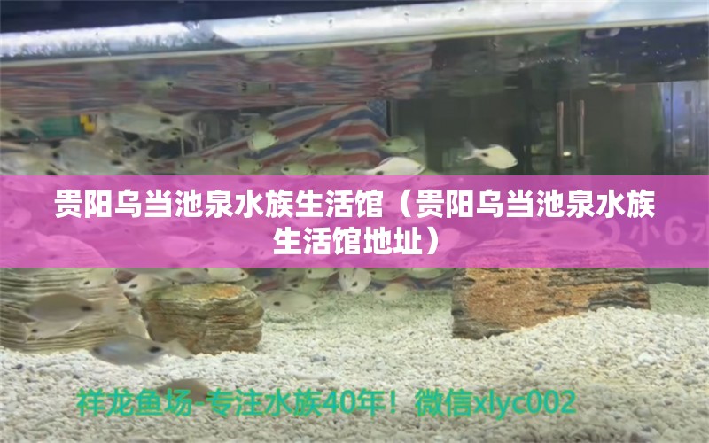 貴陽烏當池泉水族生活館（貴陽烏當池泉水族生活館地址） 全國水族館企業(yè)名錄