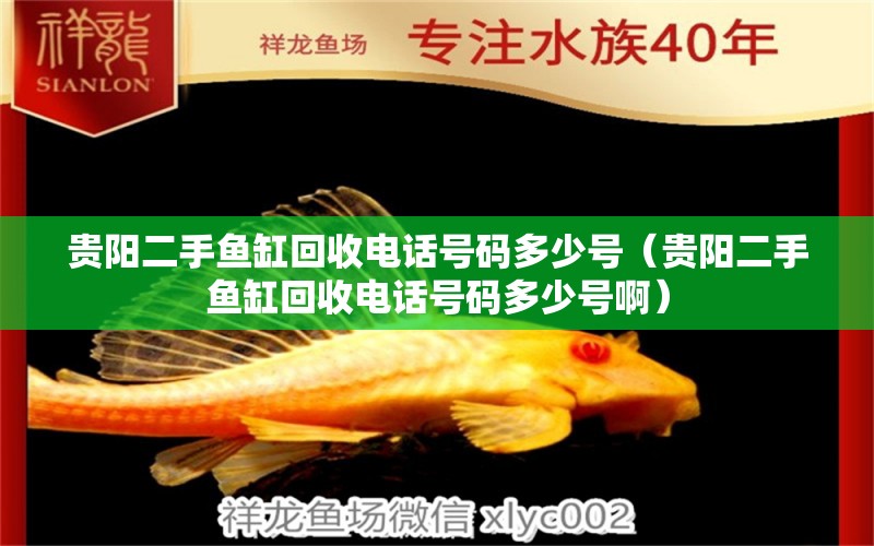 貴陽(yáng)二手魚缸回收電話號(hào)碼多少號(hào)（貴陽(yáng)二手魚缸回收電話號(hào)碼多少號(hào)?。?觀賞魚進(jìn)出口