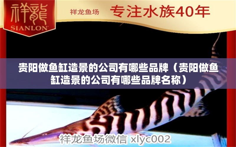 貴陽做魚缸造景的公司有哪些品牌（貴陽做魚缸造景的公司有哪些品牌名稱）