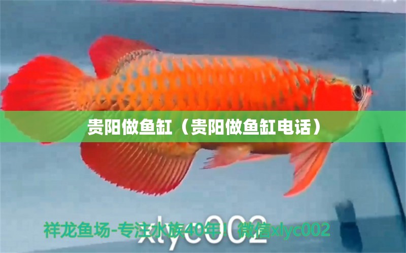 貴陽(yáng)做魚(yú)缸（貴陽(yáng)做魚(yú)缸電話） 其他品牌魚(yú)缸