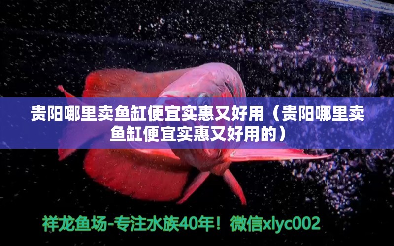 貴陽(yáng)哪里賣(mài)魚(yú)缸便宜實(shí)惠又好用（貴陽(yáng)哪里賣(mài)魚(yú)缸便宜實(shí)惠又好用的）