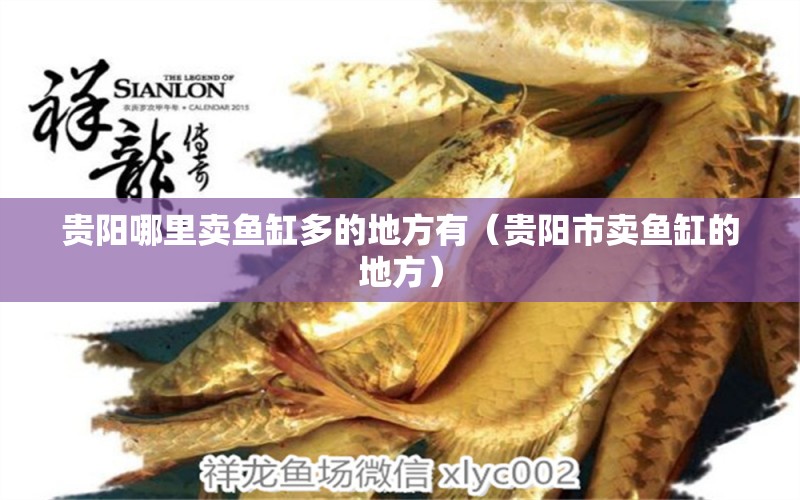 貴陽(yáng)哪里賣(mài)魚(yú)缸多的地方有（貴陽(yáng)市賣(mài)魚(yú)缸的地方） 黃金眼鏡蛇雷龍魚(yú)