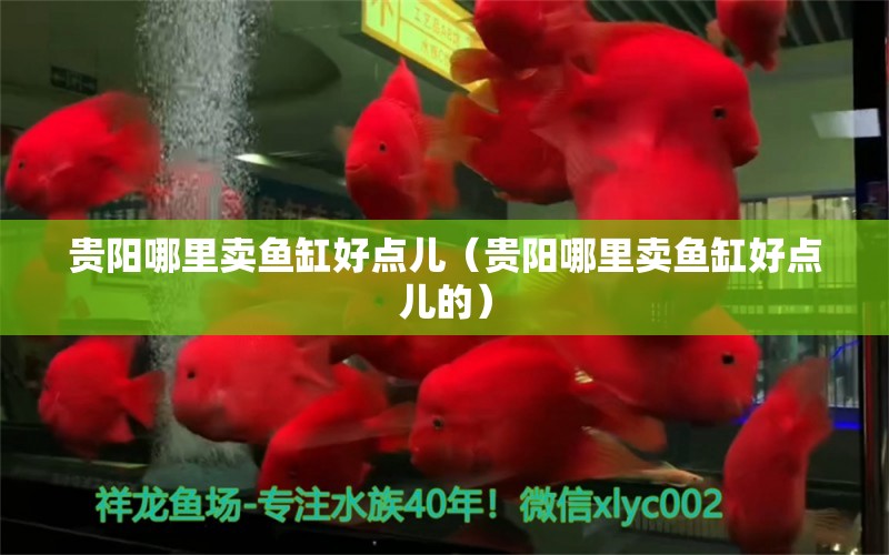 貴陽(yáng)哪里賣魚缸好點(diǎn)兒（貴陽(yáng)哪里賣魚缸好點(diǎn)兒的）