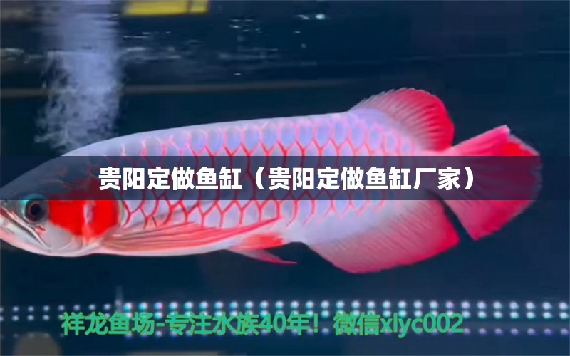 貴陽定做魚缸（貴陽定做魚缸廠家）