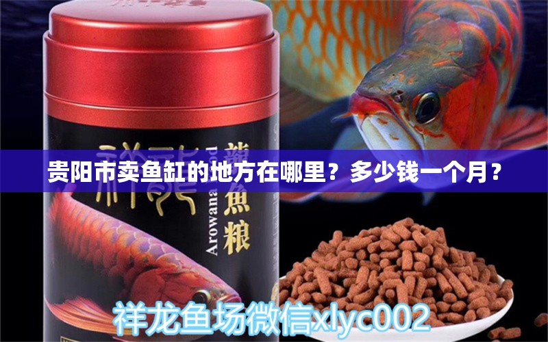 貴陽市賣魚缸的地方在哪里？多少錢一個月？ 鴨嘴鯊魚