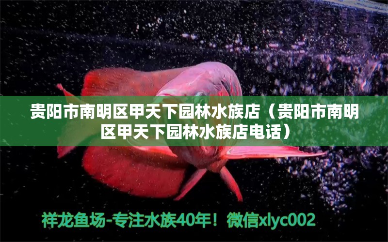 貴陽(yáng)市南明區(qū)甲天下園林水族店（貴陽(yáng)市南明區(qū)甲天下園林水族店電話）