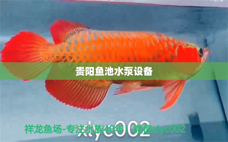 貴陽(yáng)魚池水泵設(shè)備