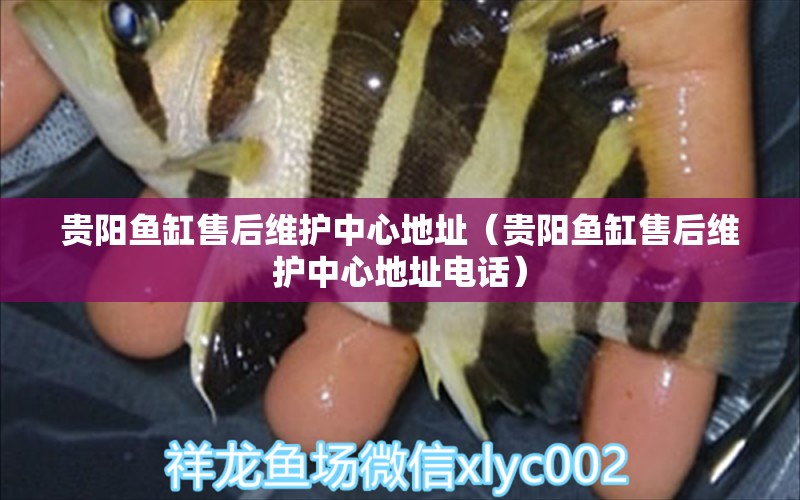 貴陽(yáng)魚(yú)缸售后維護(hù)中心地址（貴陽(yáng)魚(yú)缸售后維護(hù)中心地址電話）