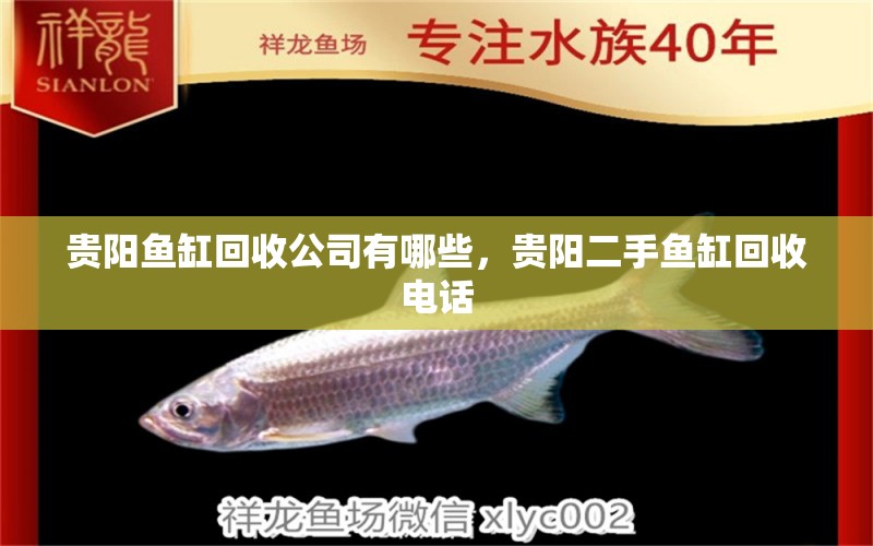 貴陽魚缸回收公司有哪些，貴陽二手魚缸回收電話 養(yǎng)魚知識(shí)