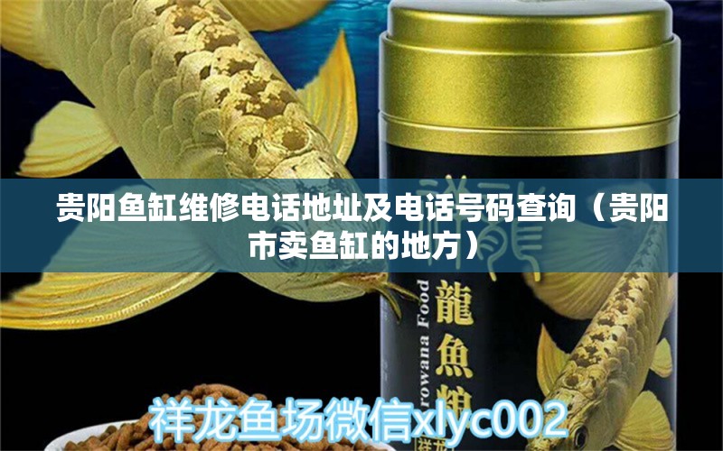 貴陽魚缸維修電話地址及電話號碼查詢（貴陽市賣魚缸的地方） 噴點菠蘿魚