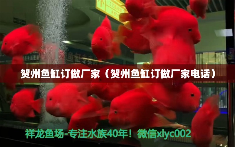 賀州魚缸訂做廠家（賀州魚缸訂做廠家電話） 廣州龍魚批發(fā)市場