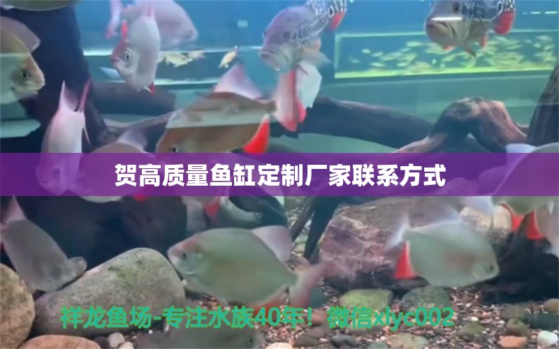 賀高質(zhì)量魚(yú)缸定制廠(chǎng)家聯(lián)系方式 綠皮皇冠豹魚(yú)