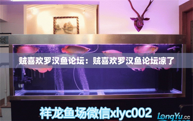 賊喜歡羅漢魚論壇：賊喜歡羅漢魚論壇涼了