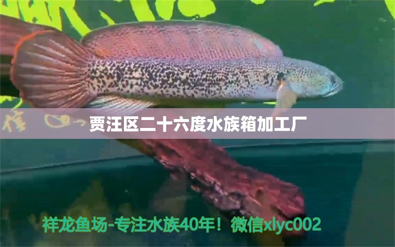 賈汪區(qū)二十六度水族箱加工廠 魚缸/水族箱