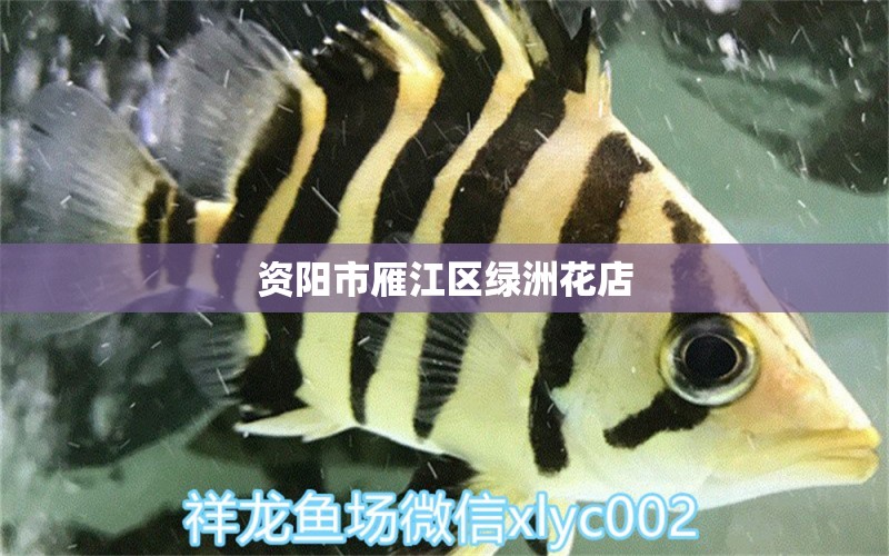 資陽市雁江區(qū)綠洲花店 全國水族館企業(yè)名錄 第4張