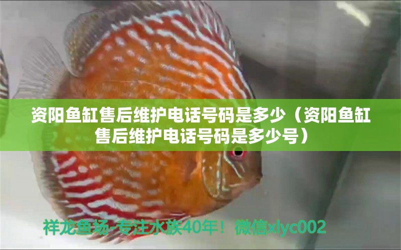 資陽魚缸售后維護(hù)電話號(hào)碼是多少（資陽魚缸售后維護(hù)電話號(hào)碼是多少號(hào)） 其他品牌魚缸