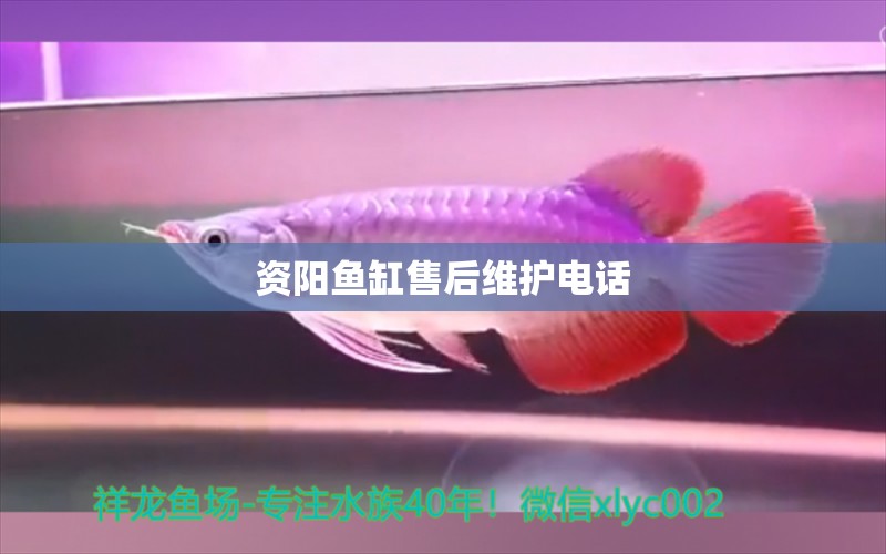 資陽魚缸售后維護(hù)電話