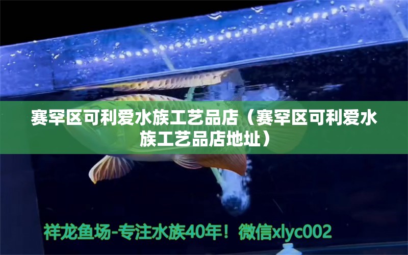 賽罕區(qū)可利愛水族工藝品店（賽罕區(qū)可利愛水族工藝品店地址） 全國水族館企業(yè)名錄