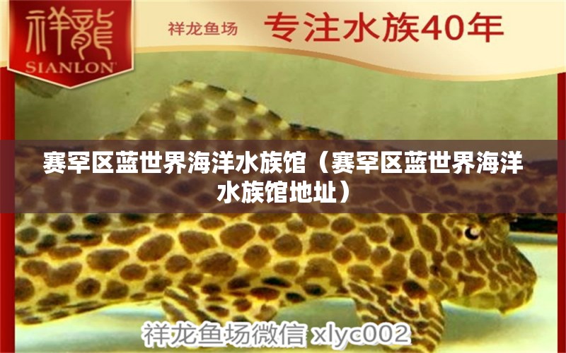 賽罕區(qū)藍(lán)世界海洋水族館（賽罕區(qū)藍(lán)世界海洋水族館地址）