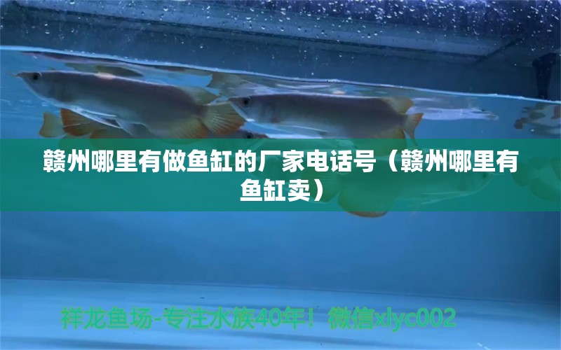 贛州哪里有做魚缸的廠家電話號(hào)（贛州哪里有魚缸賣） 祥龍魚場(chǎng)其他產(chǎn)品