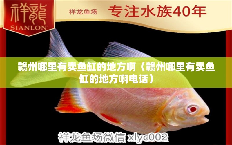 贛州哪里有賣魚缸的地方?。ㄚM州哪里有賣魚缸的地方啊電話）