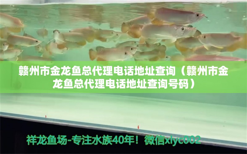 贛州市金龍魚總代理電話地址查詢（贛州市金龍魚總代理電話地址查詢號(hào)碼）