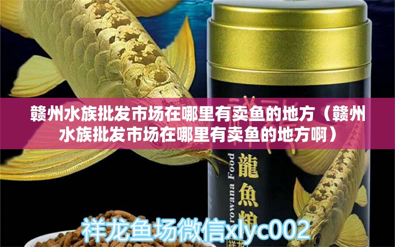 贛州水族批發(fā)市場在哪里有賣魚的地方（贛州水族批發(fā)市場在哪里有賣魚的地方?。? title=